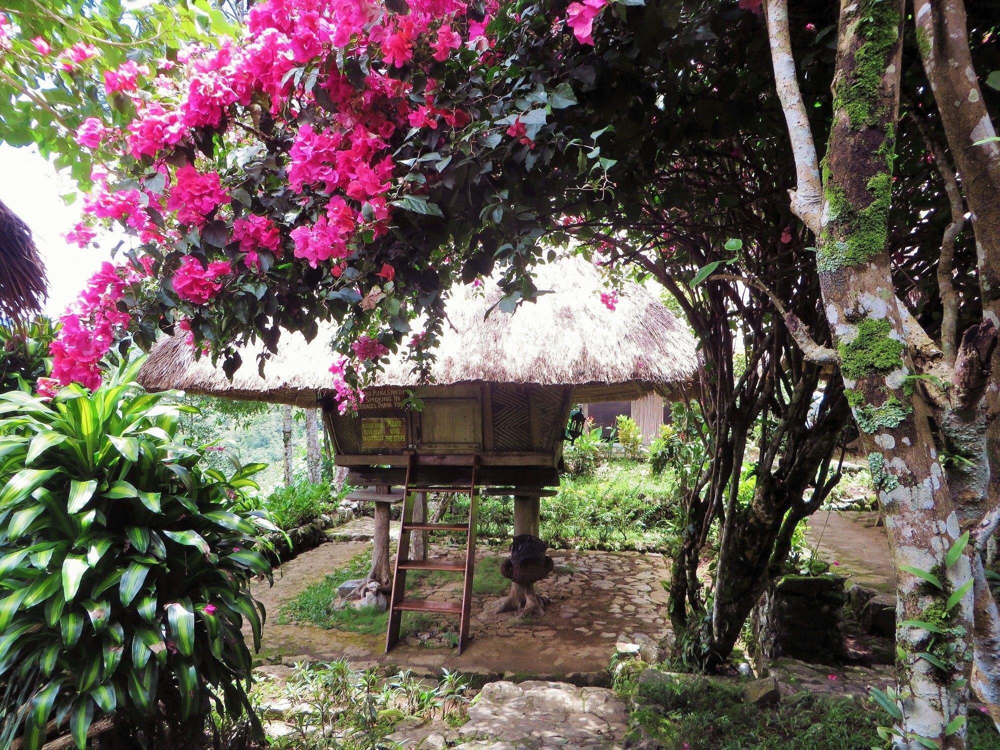 Native Village Inn Banaue Esterno foto